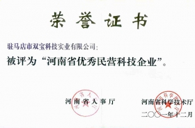 河南省優(yōu)秀民營(yíng)科技企業(yè)證書(shū)